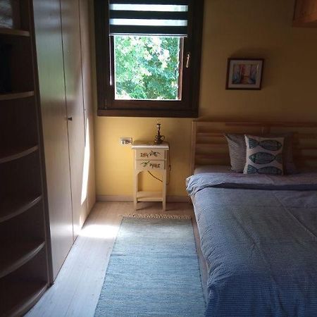 Haus Heidi Διαμέρισμα La Zecchina Εξωτερικό φωτογραφία