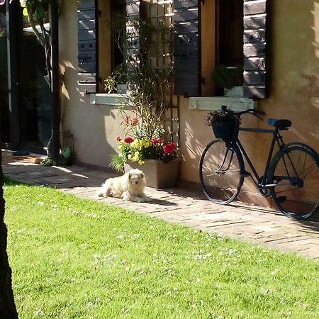 Haus Heidi Διαμέρισμα La Zecchina Εξωτερικό φωτογραφία