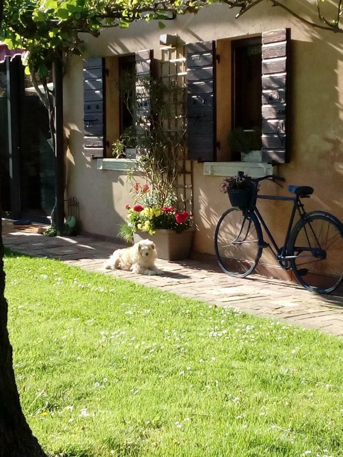 Haus Heidi Διαμέρισμα La Zecchina Εξωτερικό φωτογραφία